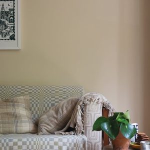 Vopsea de interior Farrow and Ball Estate Eggshell Orange coloured White No.W5 750ml